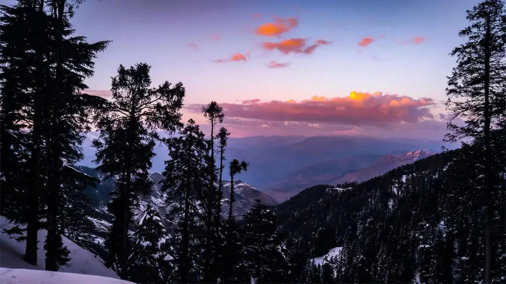 dehradun local package