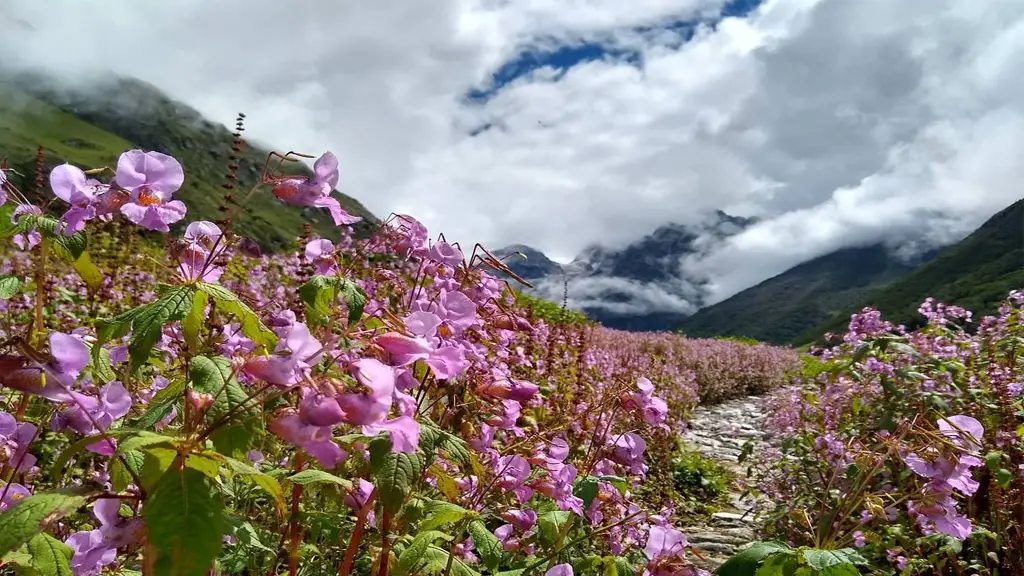 Valley of Flower
